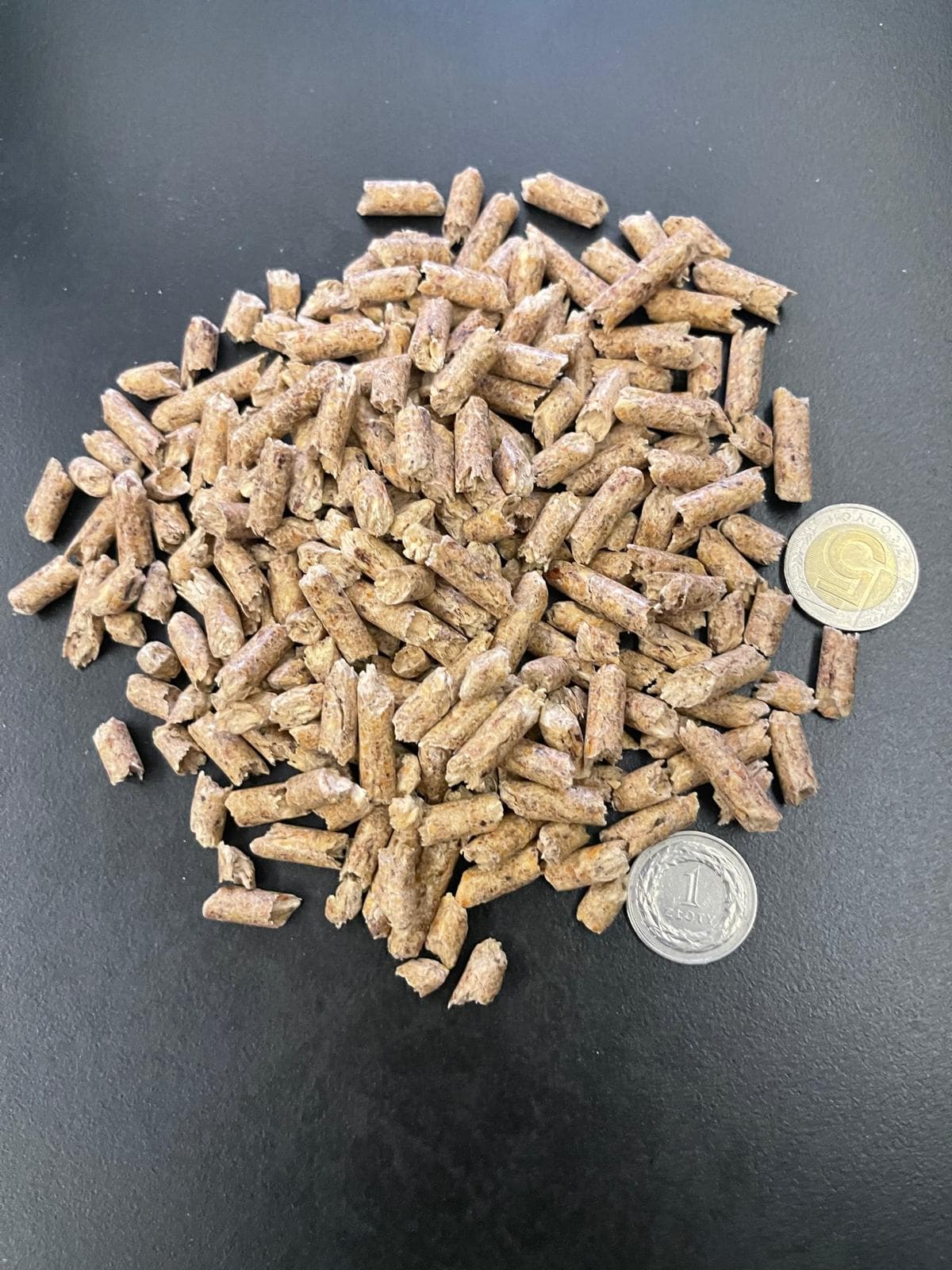 Pellet ENplus A1 luzem — odbiór w porcie Gdańsk · Elbląg · MAXI Plus (~480 t) — Pellet